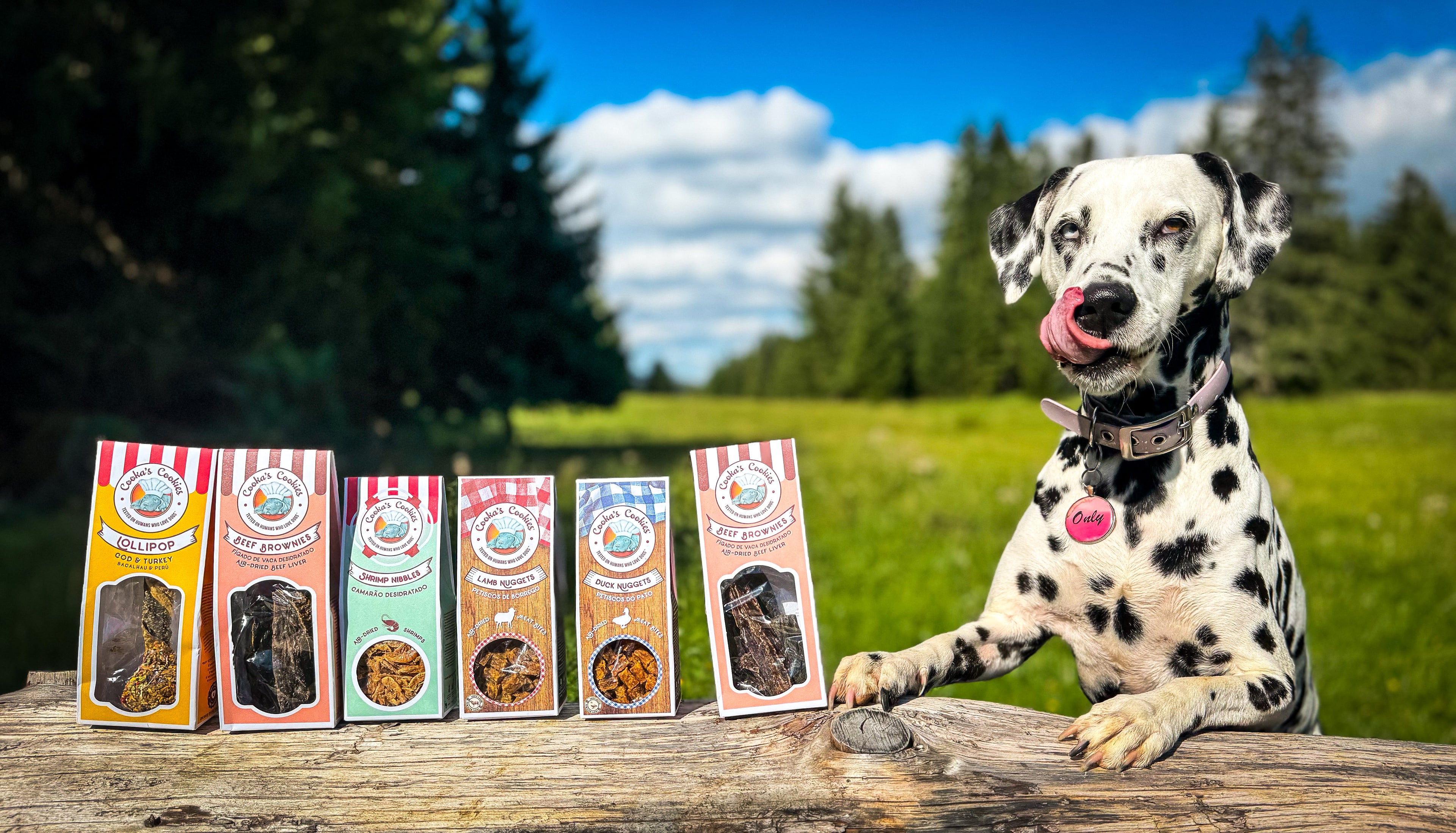 Nos gourmandises 🍪