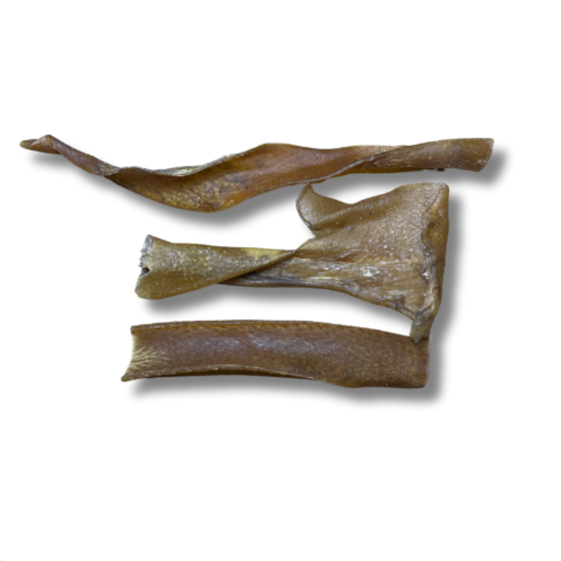 Peau de sanglier 🐗 séchée - 100G