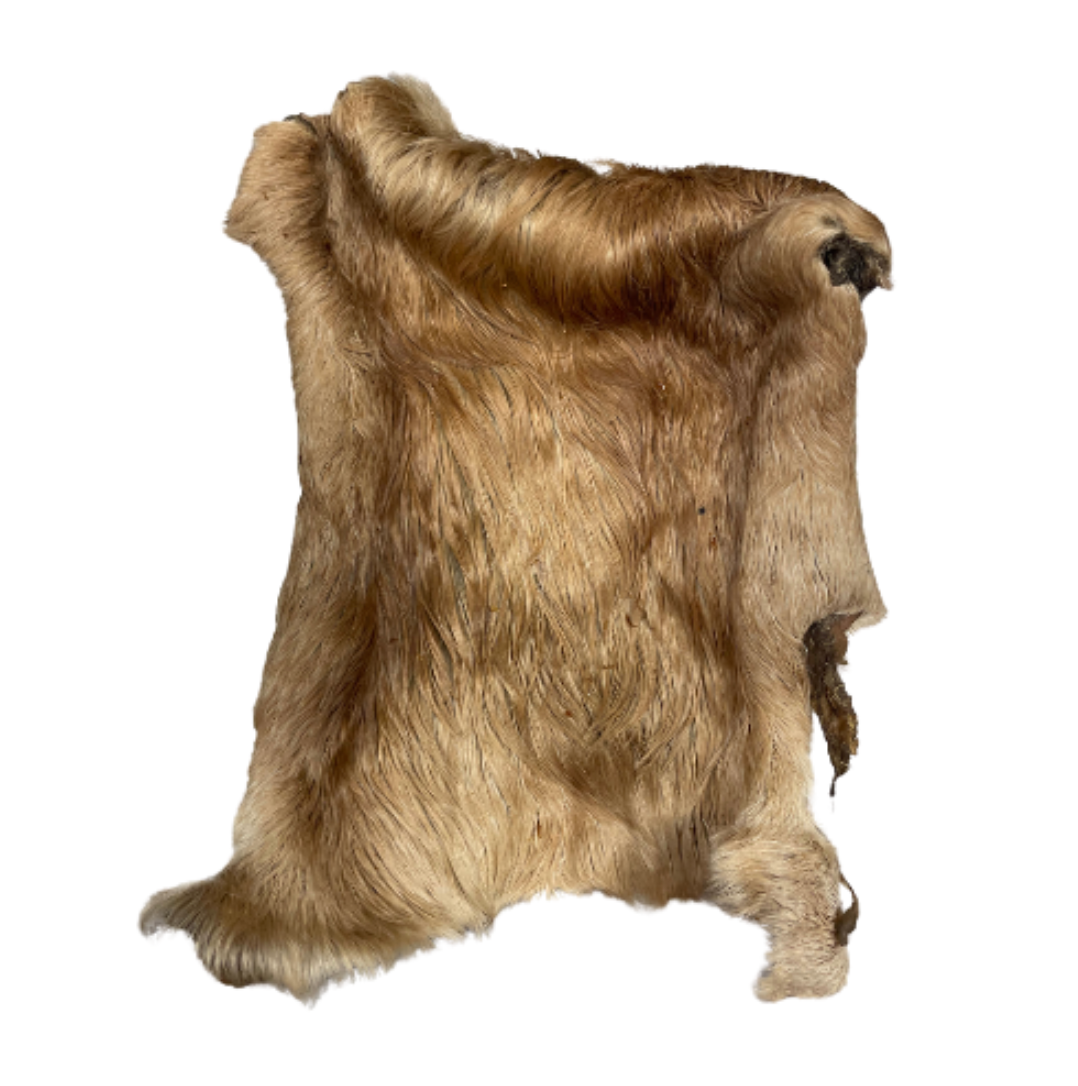 Plaque de peau de bœuf avec poils – Friandise naturelle pour chien – Mastication longue durée 🐶