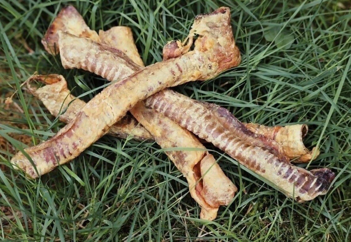 Trachée d'agneau séchée 250G - Friandise naturelle pour chiens
