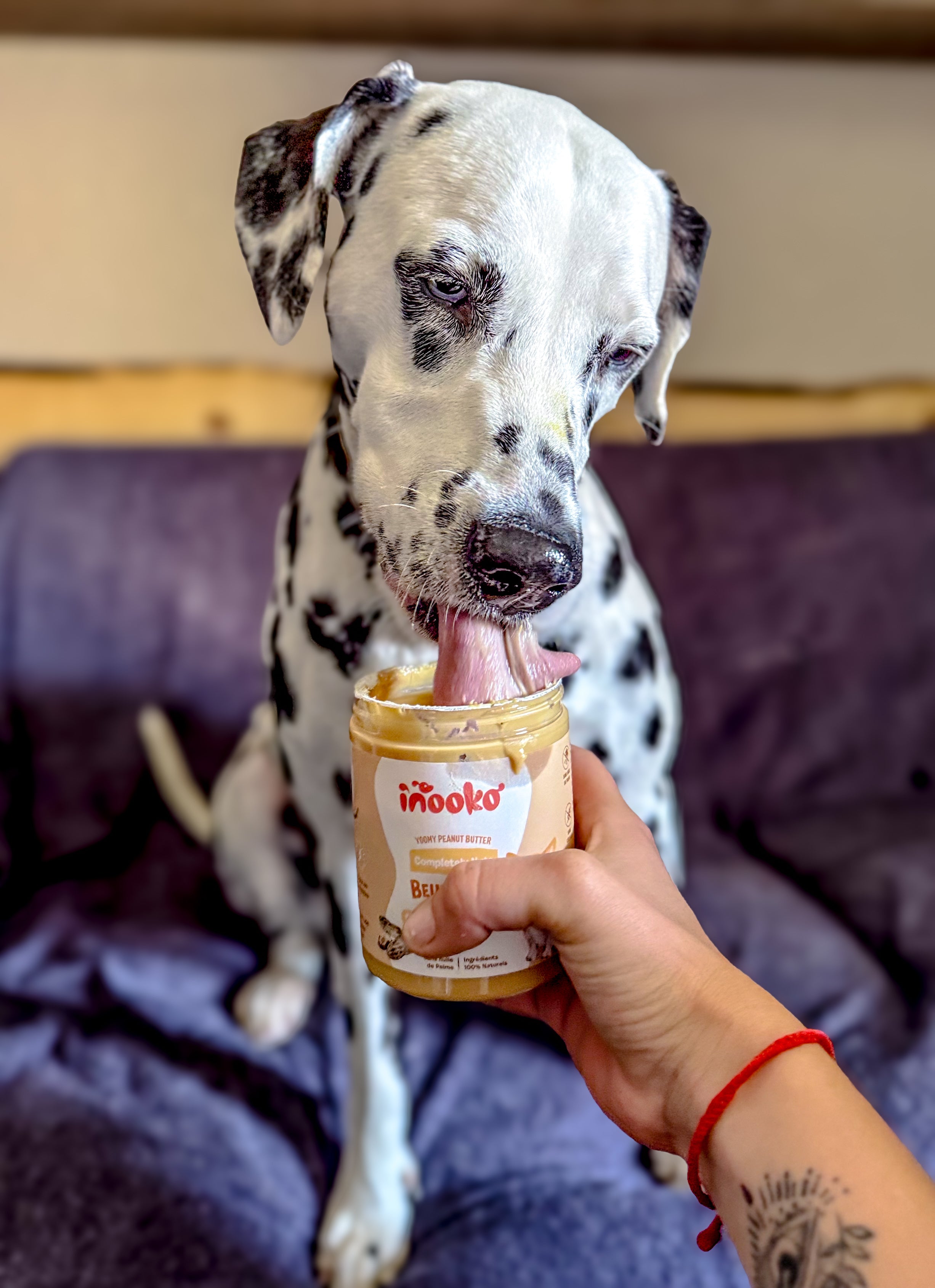 Le beurre de cacahuète préféré des Poilus 🥜🐾