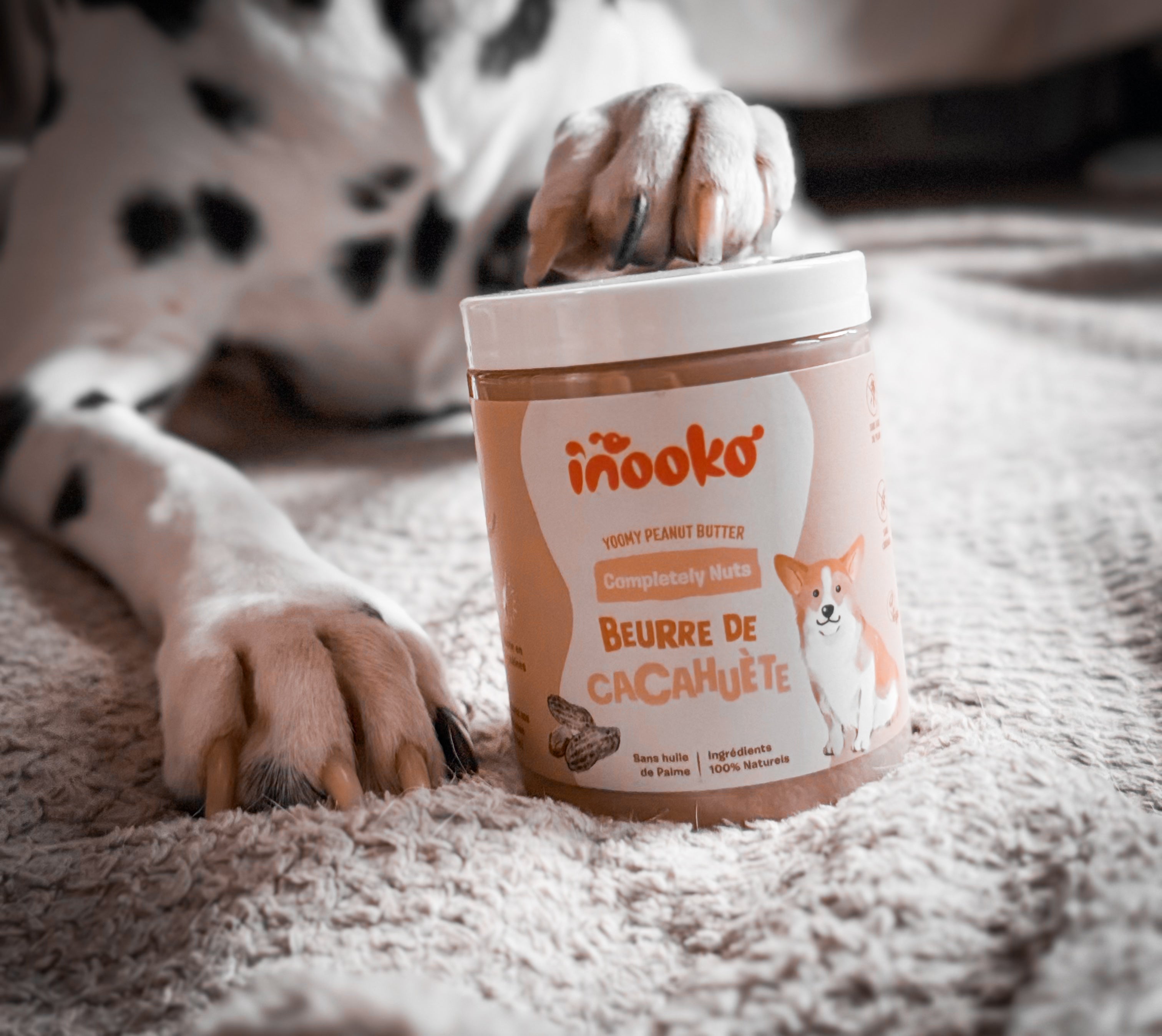 Le beurre de cacahuète préféré des Poilus 🥜🐾