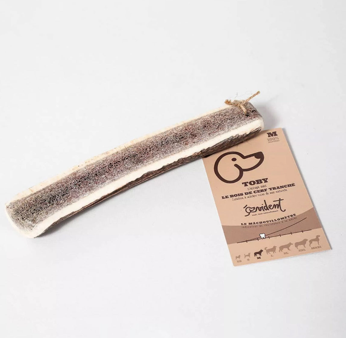 Bois de Cerf  tranché à mâcher 🦌 - Evident boutique