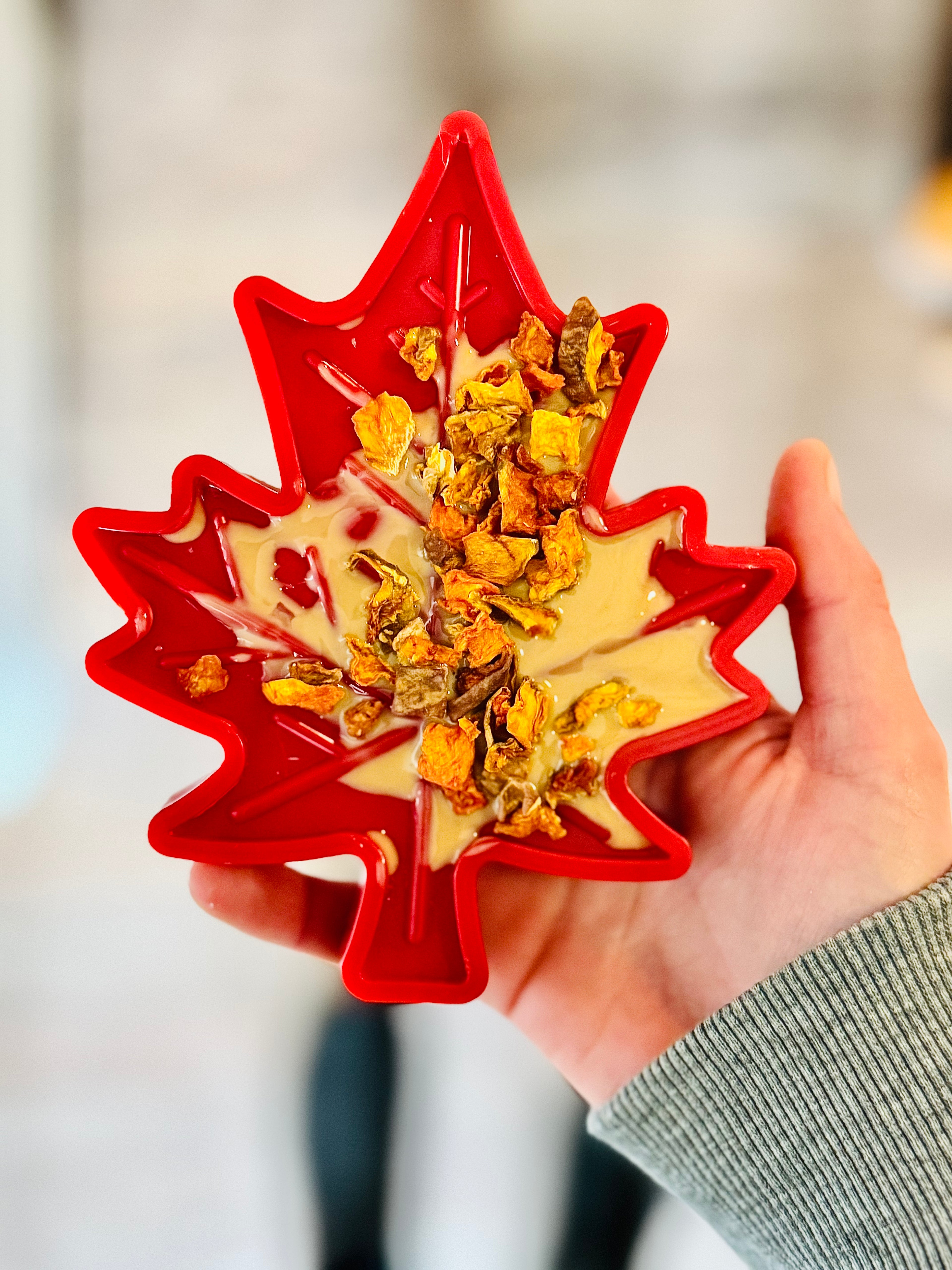 Jouet à lécher ou à mâcher Feuille d'Erable 🍁 - SodaPup