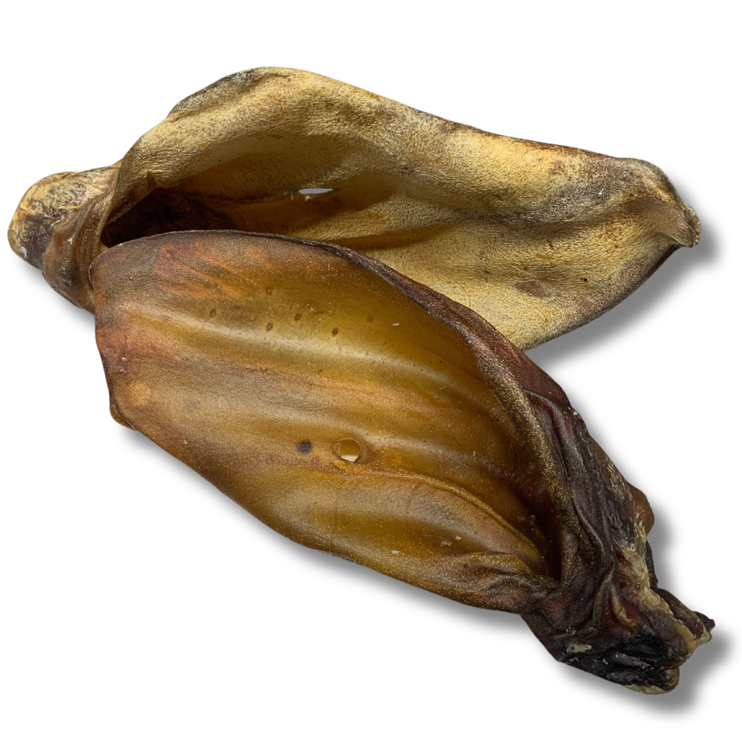 Oreilles de boeuf Lot de 2