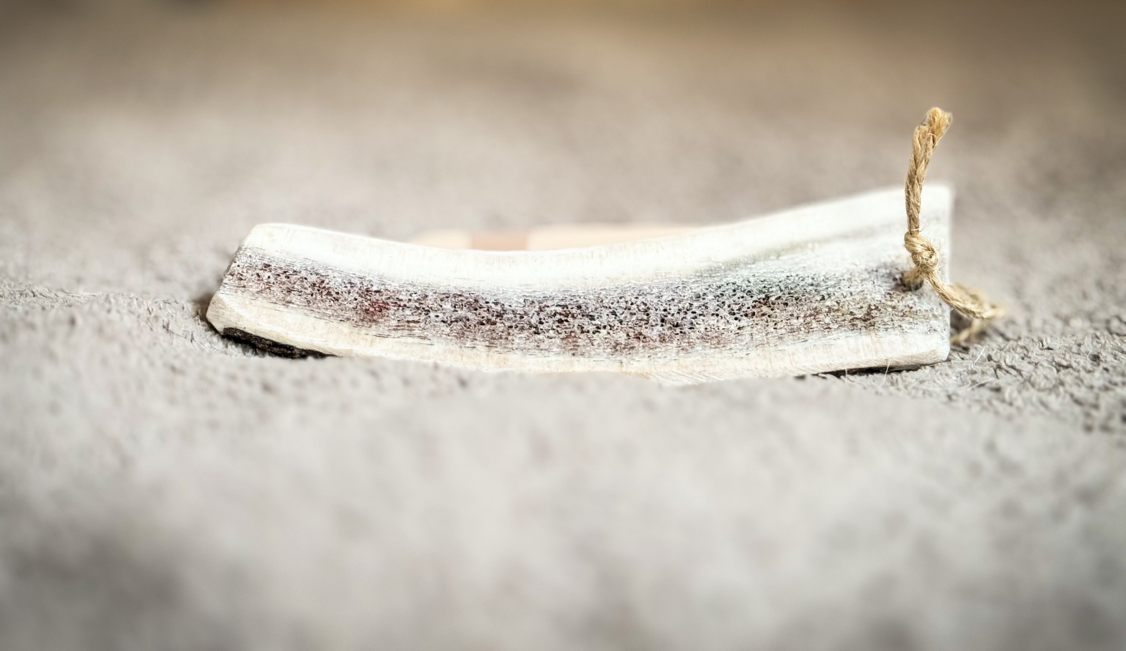 Bois de Cerf  tranché à mâcher 🦌 - Evident boutique