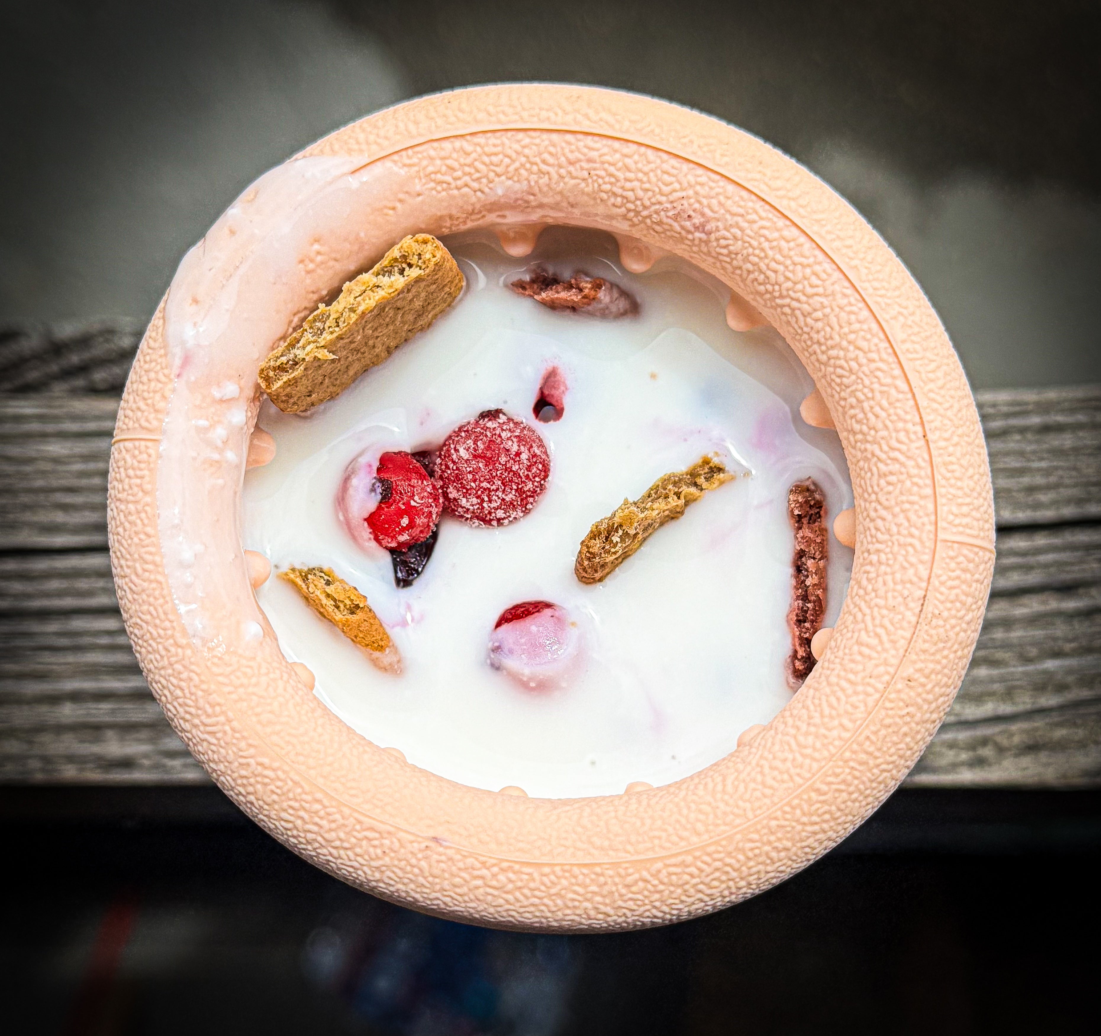 Jouet d'occupation à garnir - Yoomy pot 🍦l Pour chien