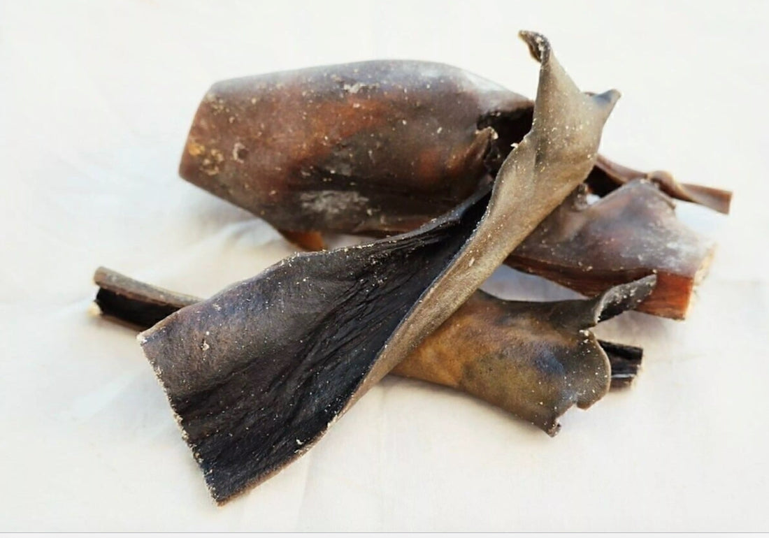 Cuir de chameau séché  250G - La mastication pour chiens costauds !