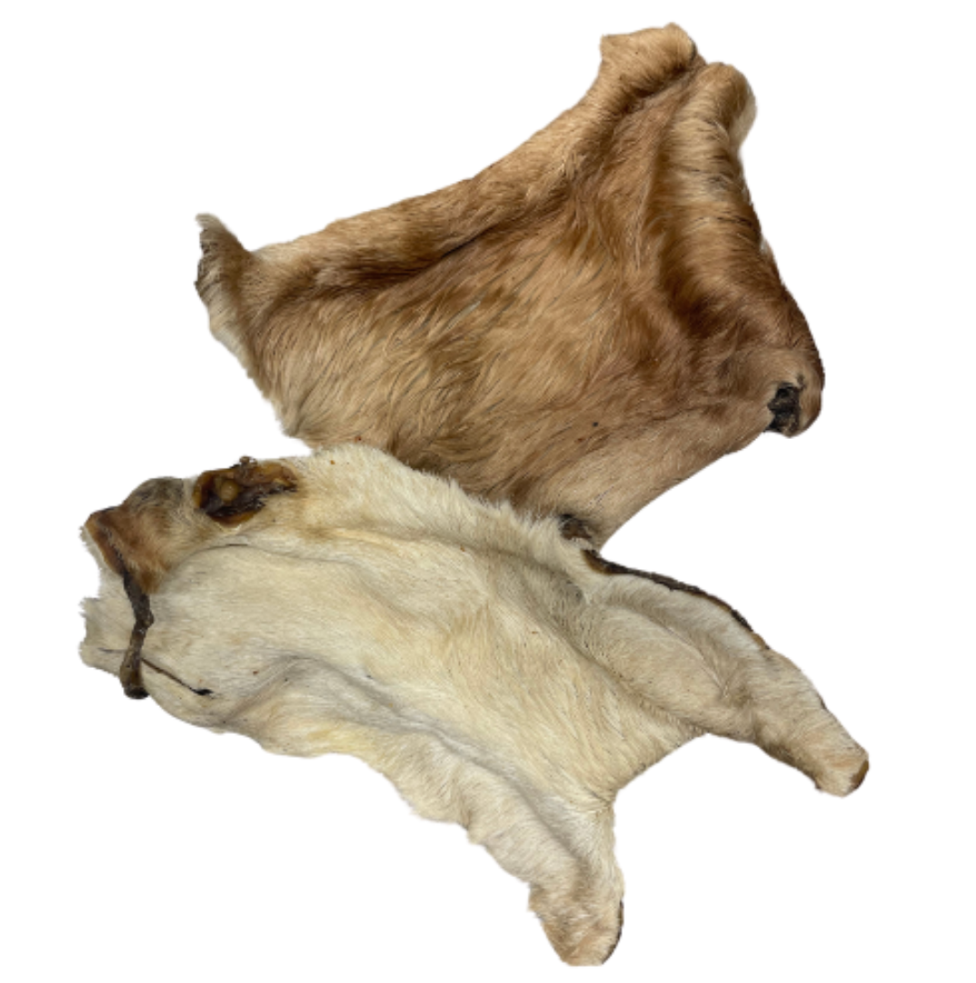 Plaque de peau de bœuf avec poils – Friandise naturelle pour chien – Mastication longue durée 🐶