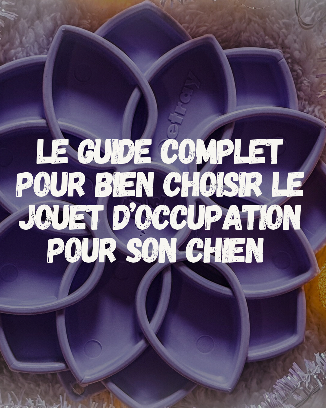 Comment choisir le jeu d'occupation idéal pour son chien ?