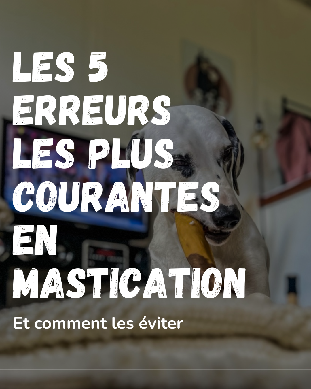 Les 5 erreurs les plus courante en mastication... et comment les éviter !
