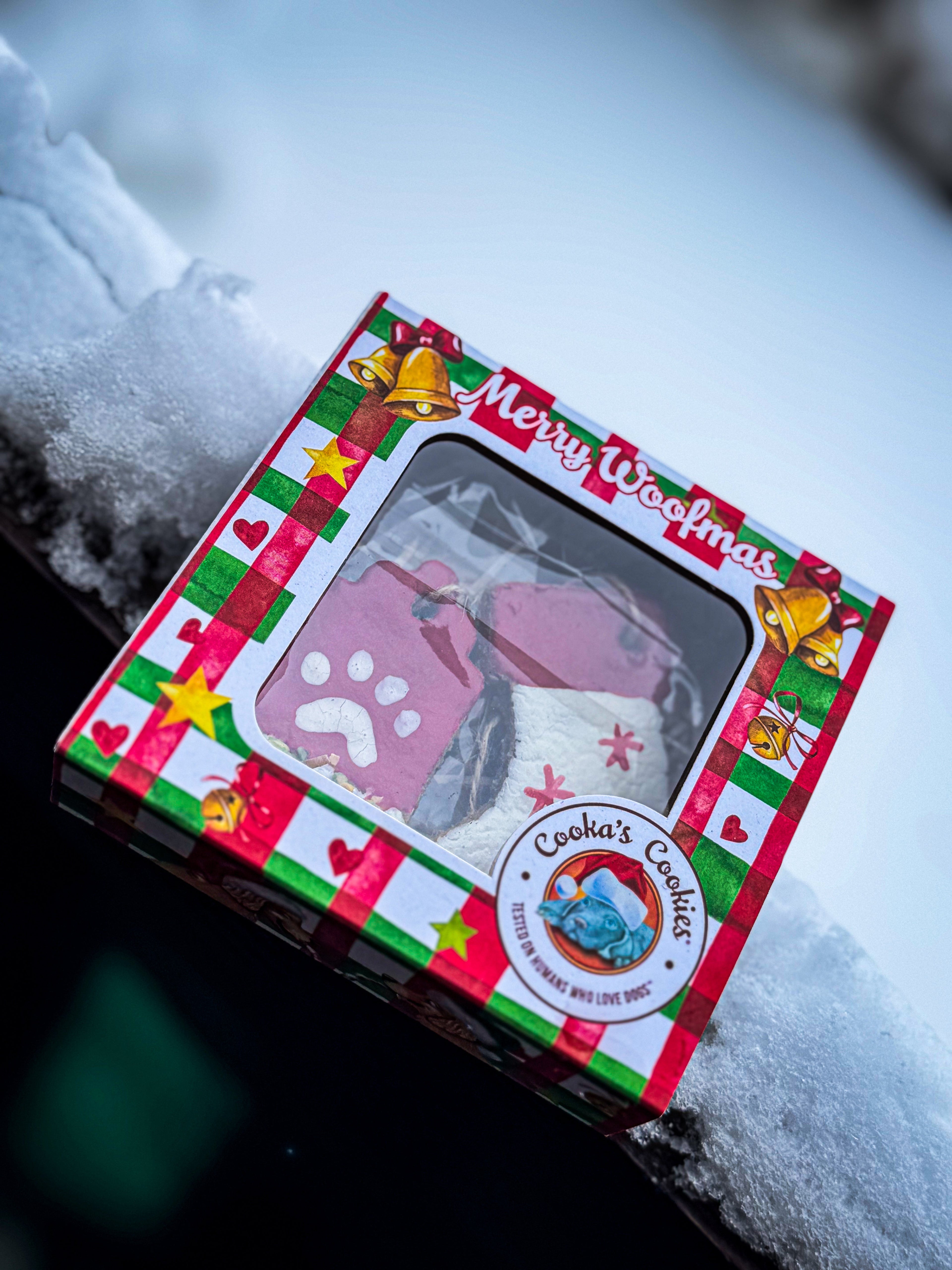 Les coups de coeur du mois  ✨