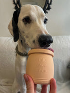Jouet d'occupation à garnir - Yoomy pot 🍦l Pour chien