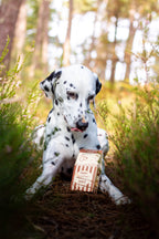 Pop's de fromage soufflés 🍿 - Evident Boutique