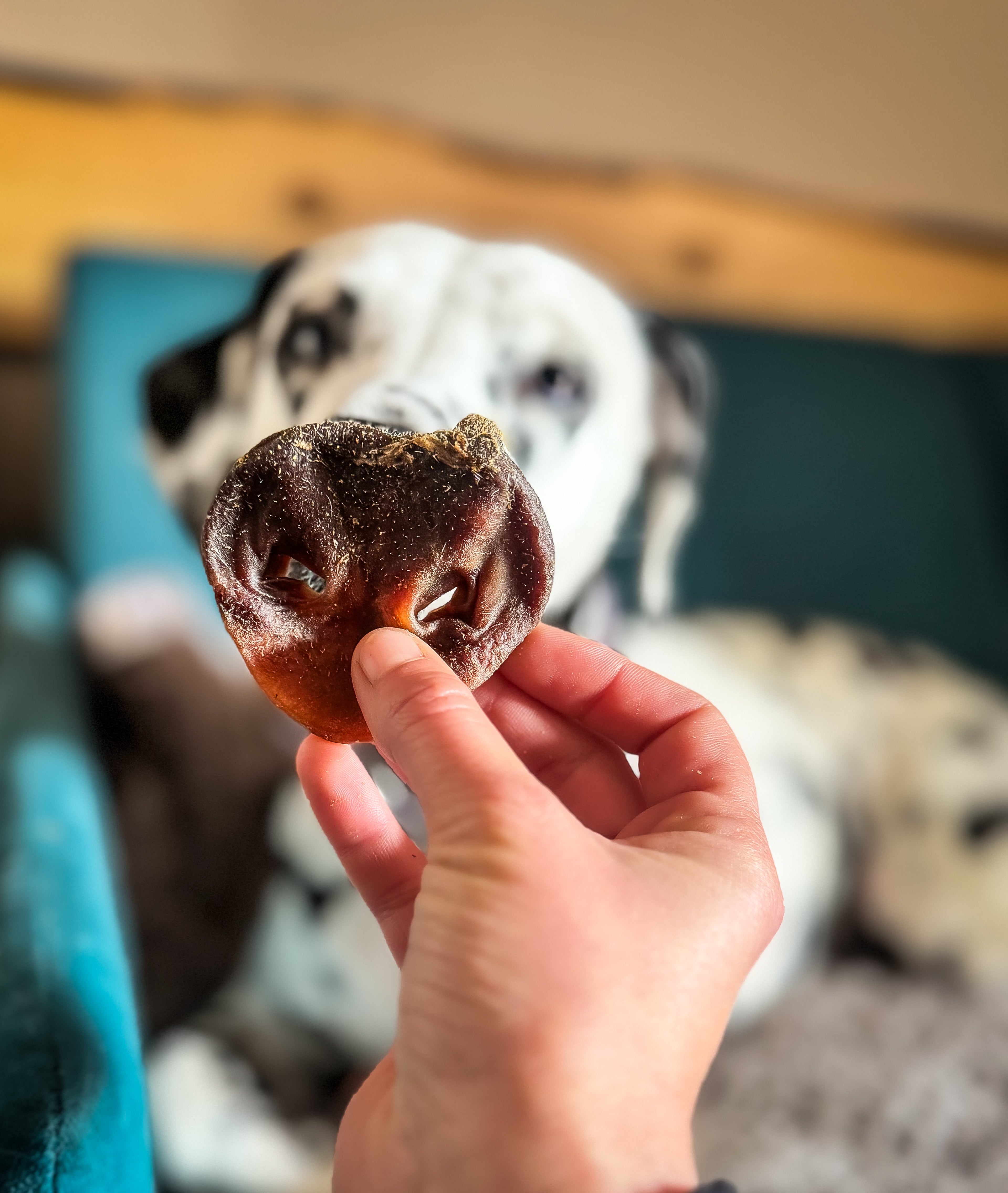 Groin de cochon 200g - Truffe Délice