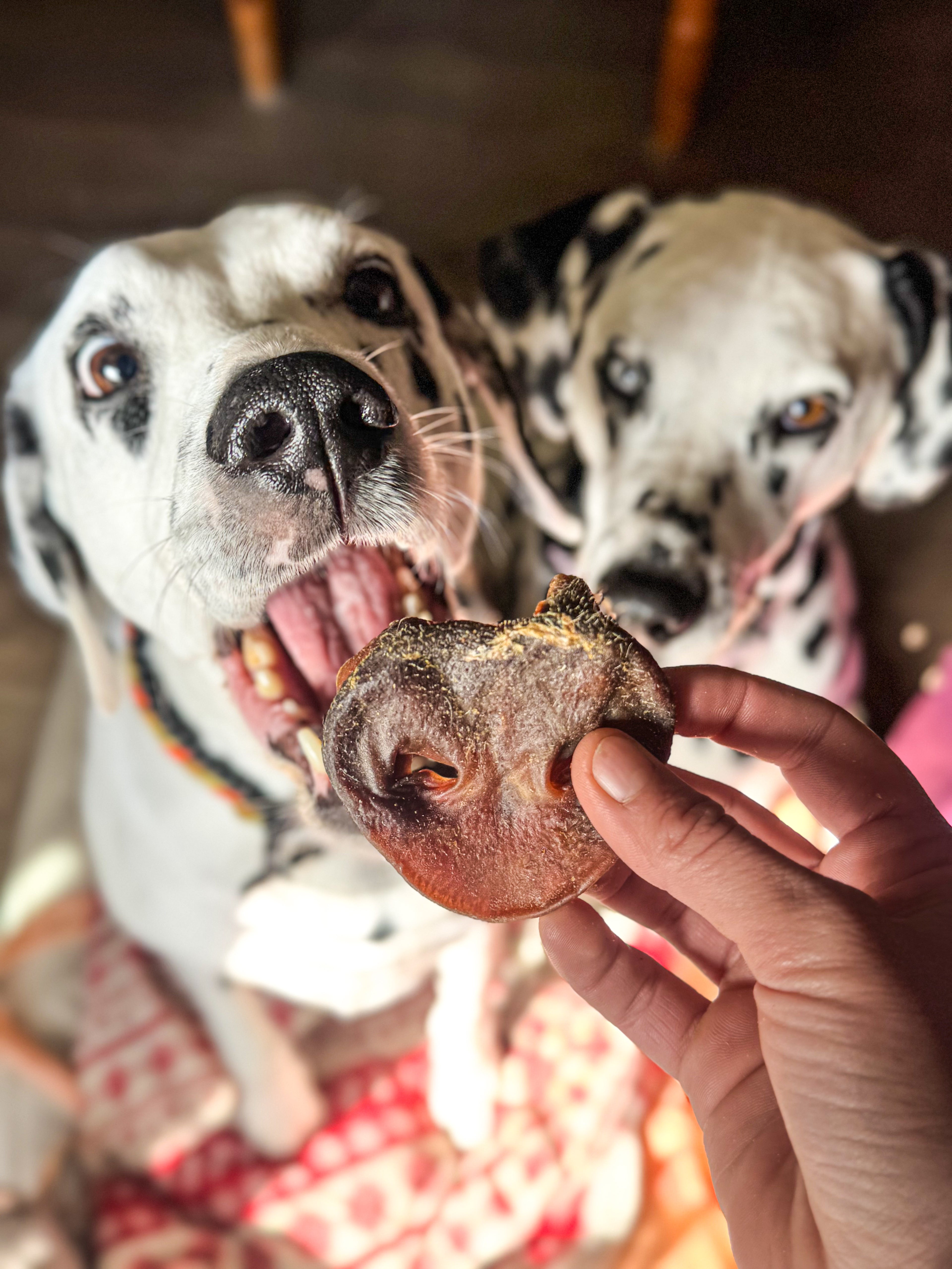 Groin de cochon 200g - Truffe Délice