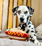 Peluche pour chien - Hot Dog