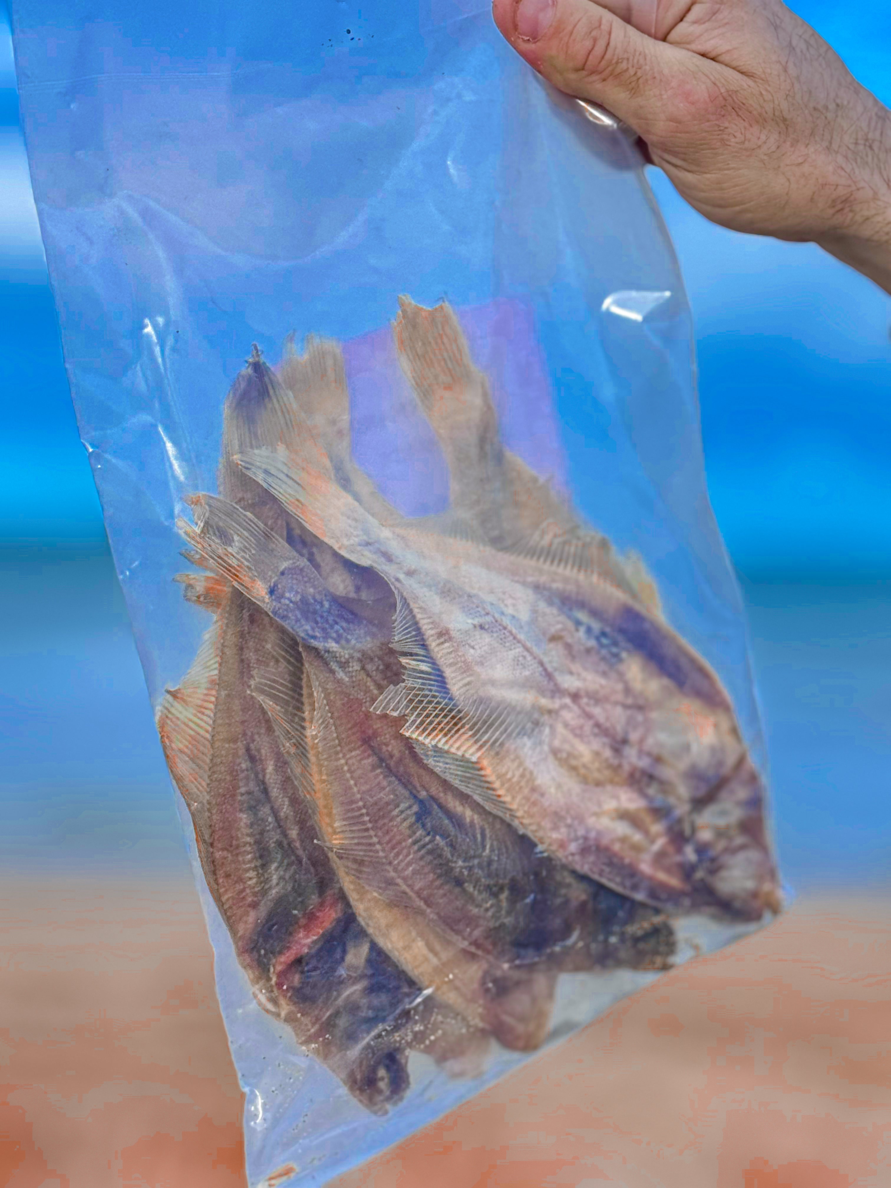 Limande séchée 200g - Friandise naturelle au poisson