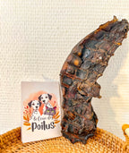 Base d'Oreille de Boeuf  séchée 100g- Mastication longue durée 100% naturelle