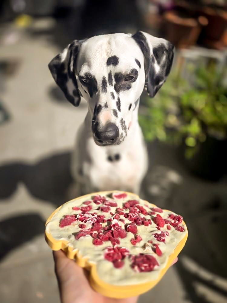 🍔 Tapis de léchage - Yoomy Burger 🐾
