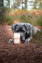 Pop's de fromage soufflés 🍿 - Evident Boutique