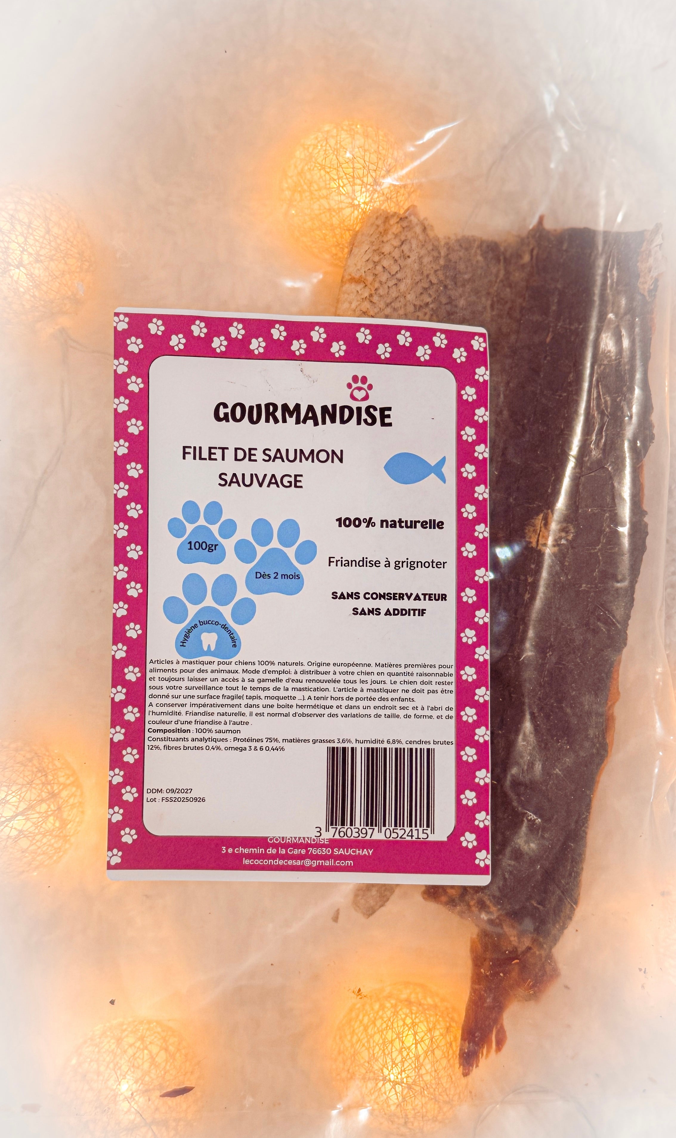 Filet de saumon sauvage 100g - Friandise naturelle  premium pour chien