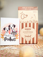Pop's de fromage soufflés 🍿 - Evident Boutique