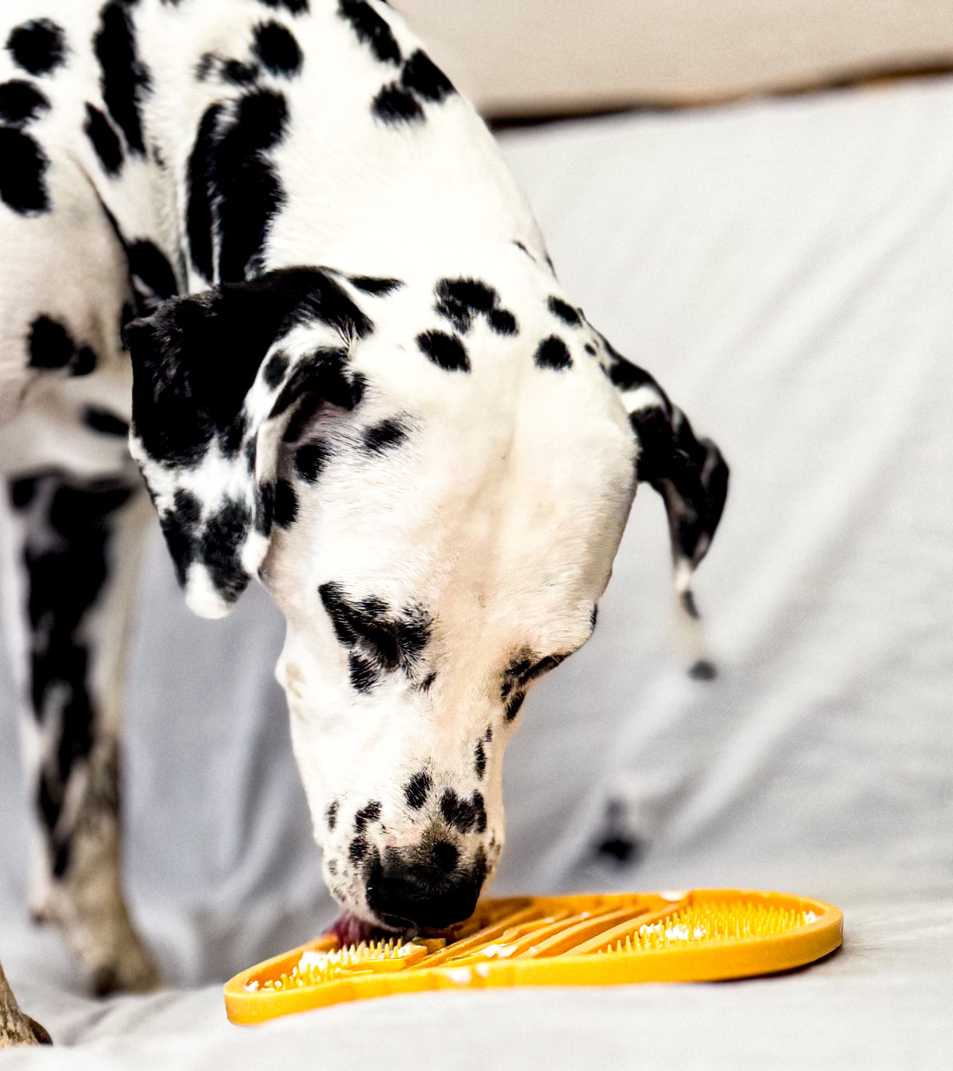 🍔 Tapis de léchage - Yoomy Burger 🐾