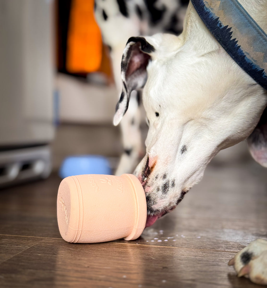 Jouet d'occupation à garnir - Yoomy pot 🍦l Pour chien