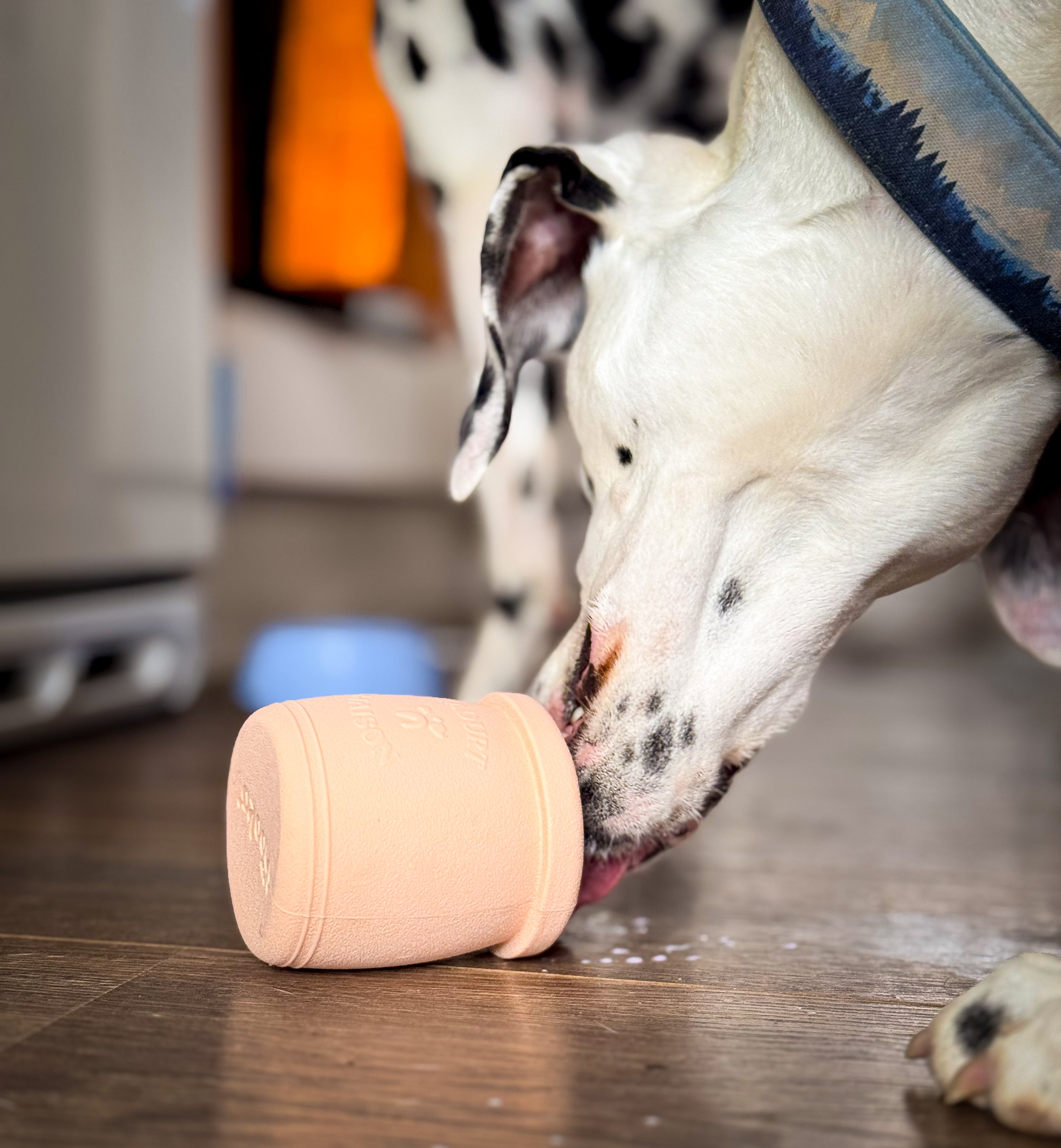 Jouet d'occupation à garnir - Yoomy pot 🍦l Pour chien