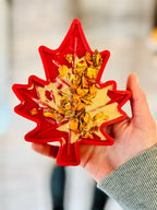 Jouet à lécher ou à mâcher Feuille d'Erable 🍁 - SodaPup