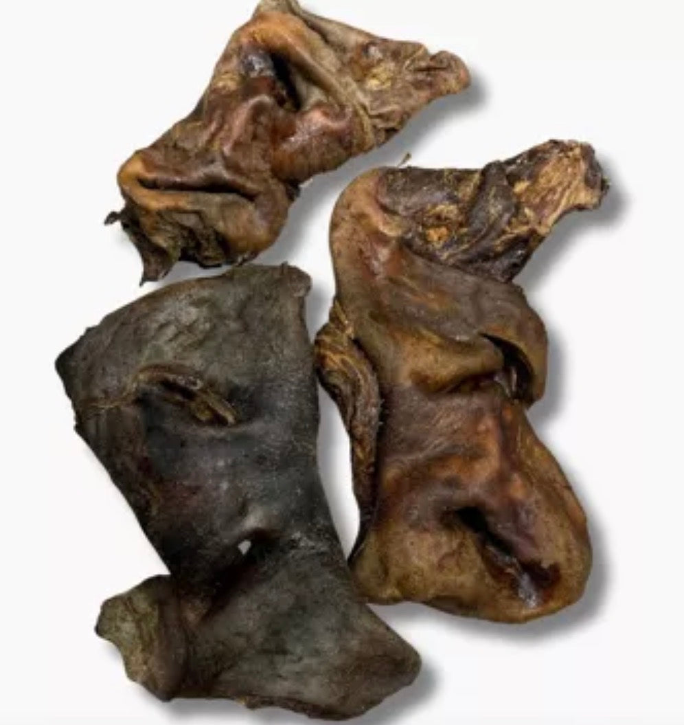 Museau de boeuf 1 pièce 180g - Friandise naturelle & gourmande pour chien