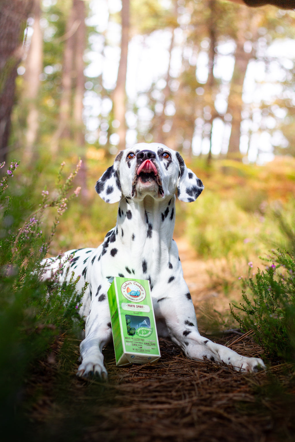 Friandises " Esprit de Porto " Pomme / Spiruline - Cooka's Cookies 🍪