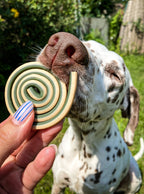 🌀 Roll Dental Defense – Snack végétal pour chiens