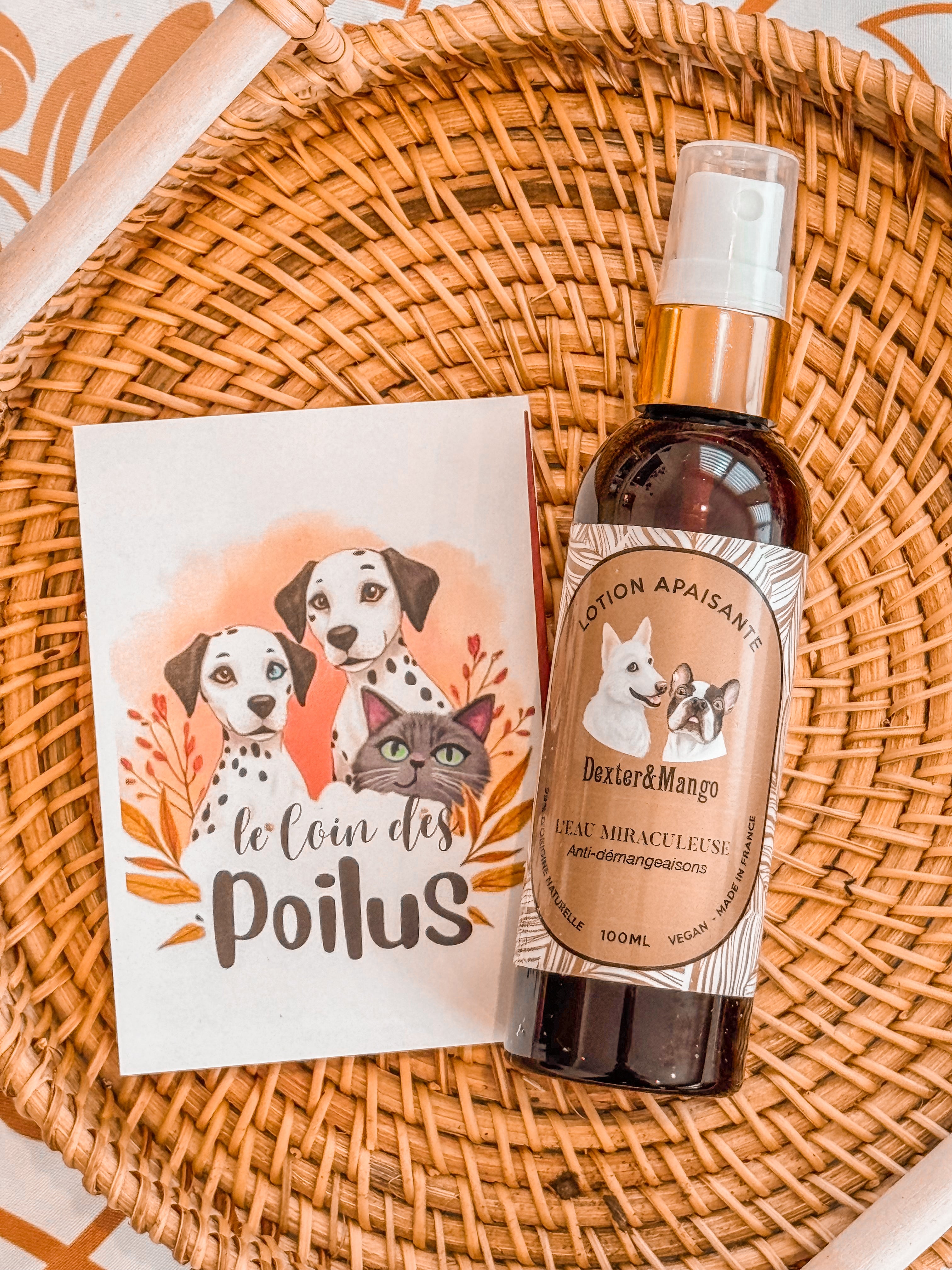 Lotion Apaisante Anti-démangeaisons chien - L'eau Miraculeuse