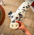 Nez de cochon soufflé x10 unités - Mastication courte durée