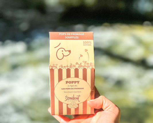 Pop's de fromage soufflés 🍿 - Evident Boutique
