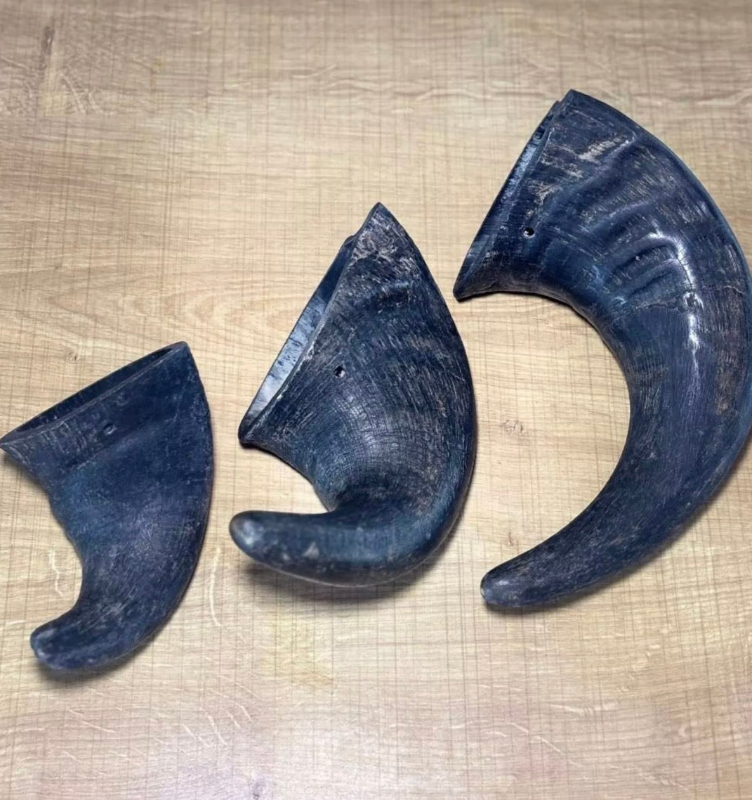 Corne de Buffle naturelle - Taille S & M