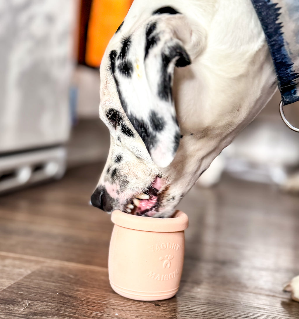 Jouet d'occupation à garnir - Yoomy pot 🍦l Pour chien
