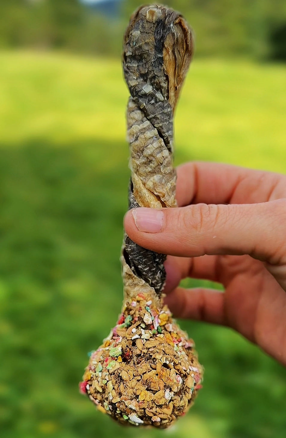 Chewy-Pop - Cooka's Cookies 🍪