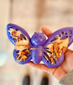 Jouet à mâcher ou à lécher Papillon - SodaPup