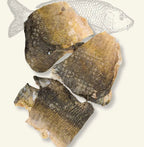 Chips de Carpe - Truffe Délice