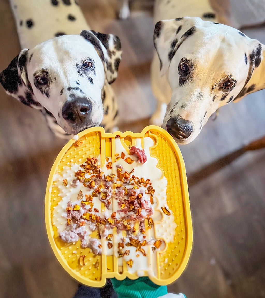 🍔 Tapis de léchage - Yoomy Burger 🐾